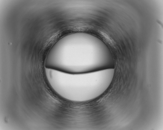 X0000094210258200710260939