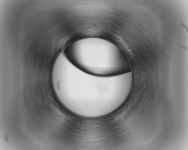 X0000094210259200710260939