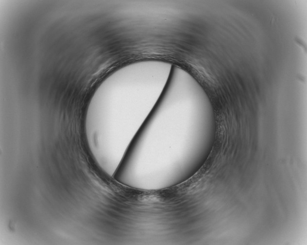 X0000094210262200710260939
