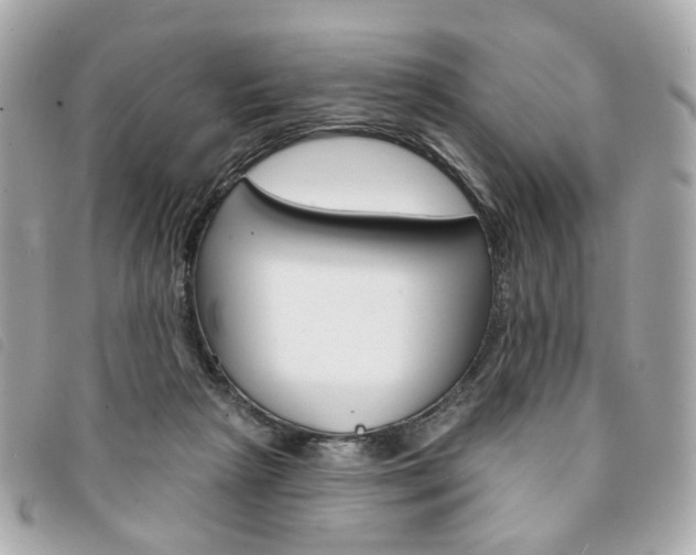 X0000094210265200710260939