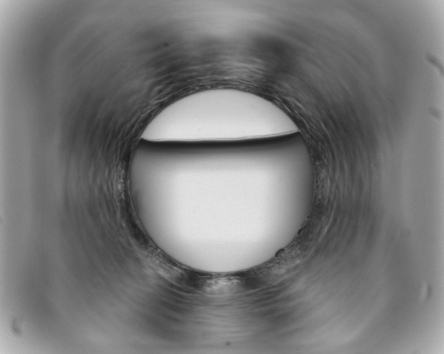 X0000094210274200710260939