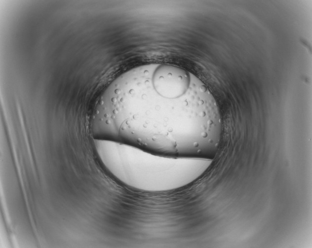 X0000094210278200710260939