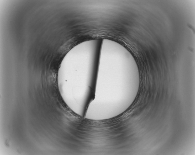 X0000094210281200710260939