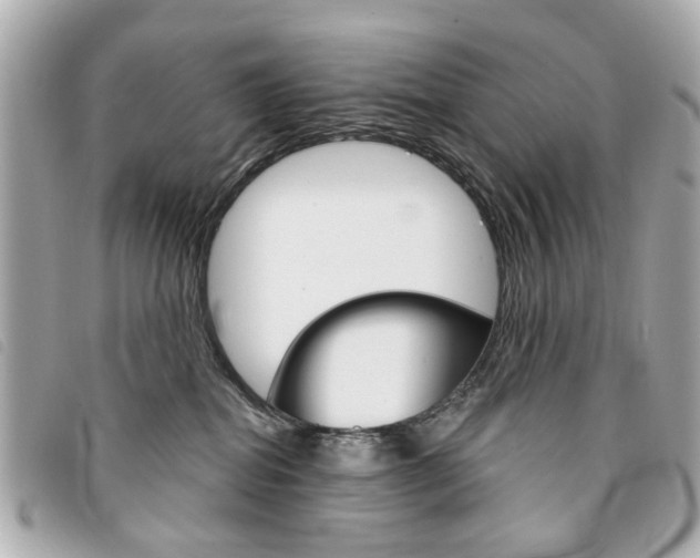 X0000094210282200710260939