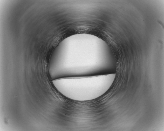 X0000094210283200710260939