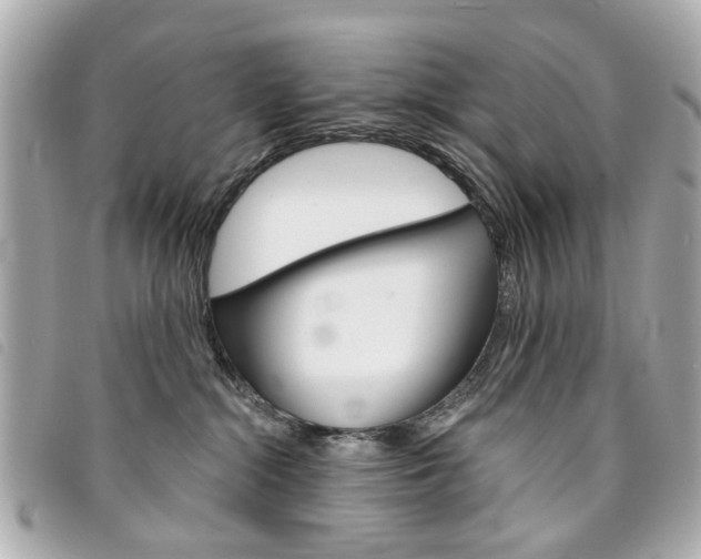 X0000094210284200710260939