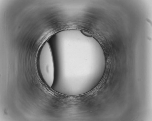 X0000094210290200710260939