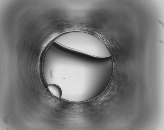 X0000094210292200710260939