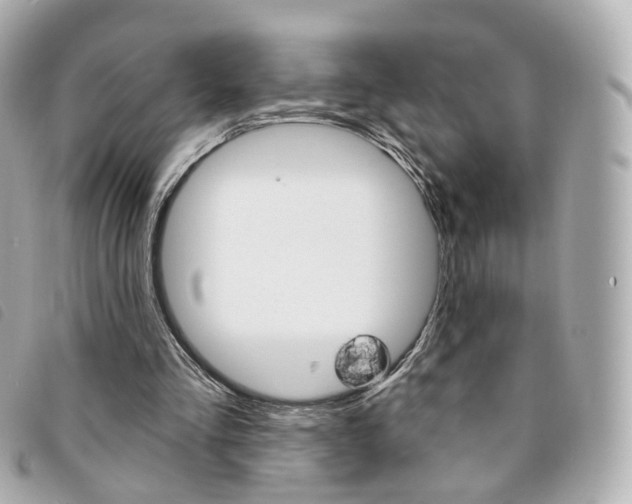 X0000094210293200710260939