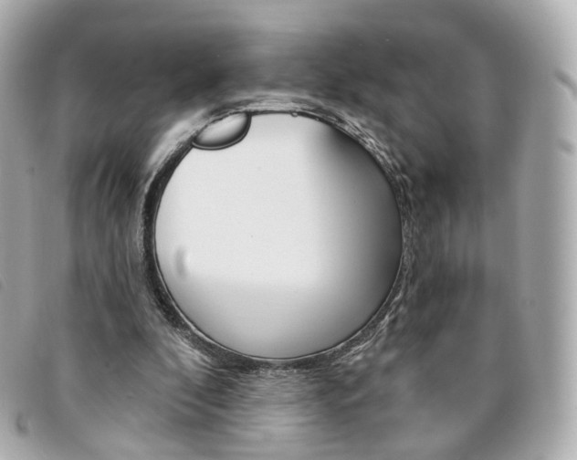 X0000094210296200710260939