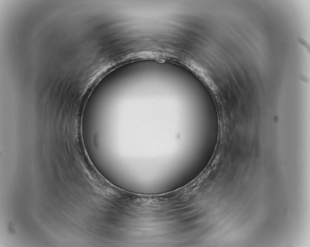 X0000094210297200710260939