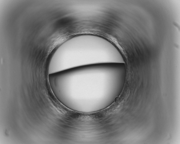 X0000094210299200710260939