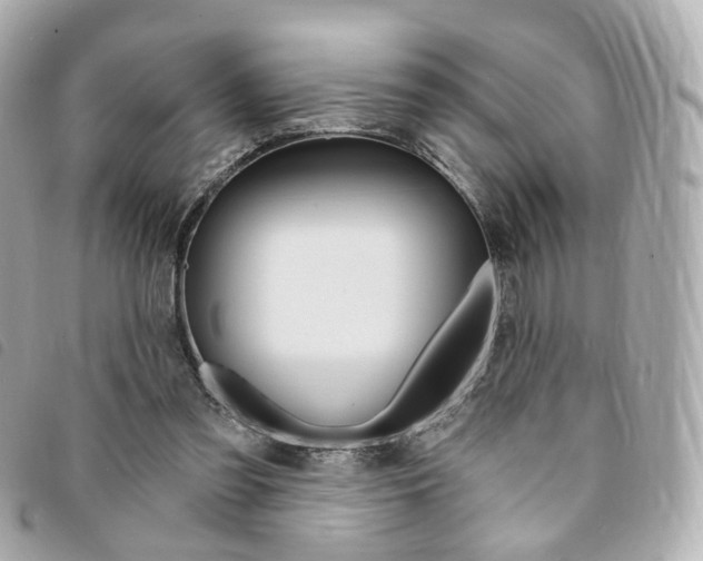 X0000094210301200710260939