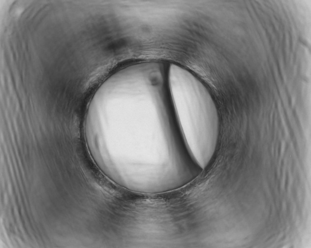 X0000094210303200710260939