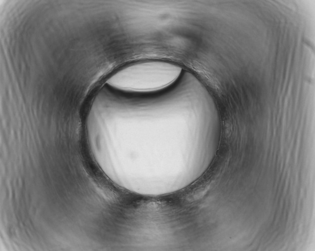 X0000094210304200710260939