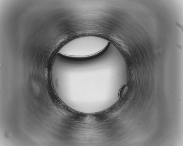 X0000094210308200710260939