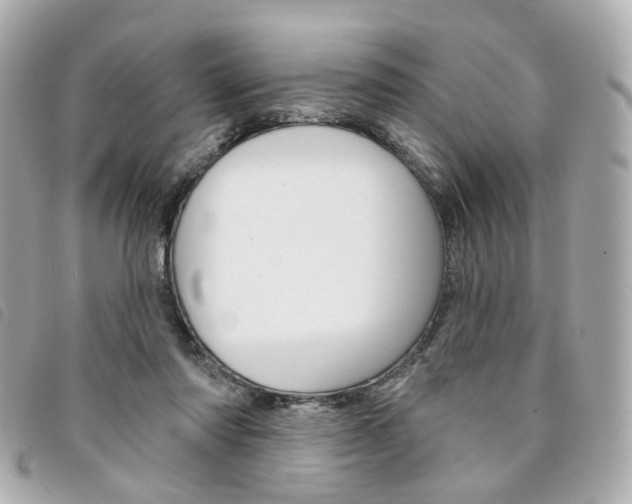 X0000094210310200710260938