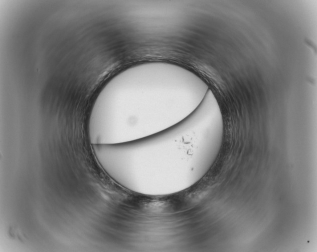 X0000094210312200710260938