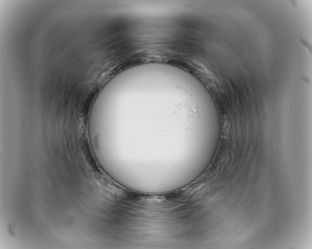 X0000094210318200710260938