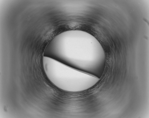 X0000094210319200710260938