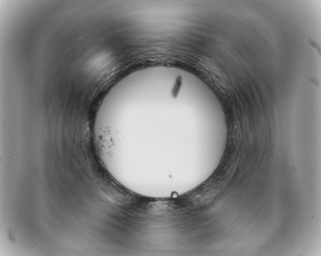 X0000094210320200710260938