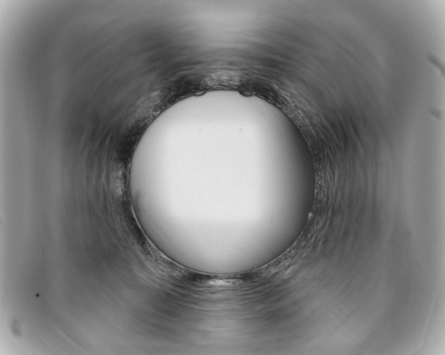 X0000094210323200710260938