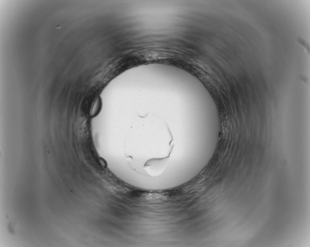 X0000094210327200710260938