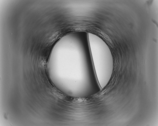 X0000094210329200710260938