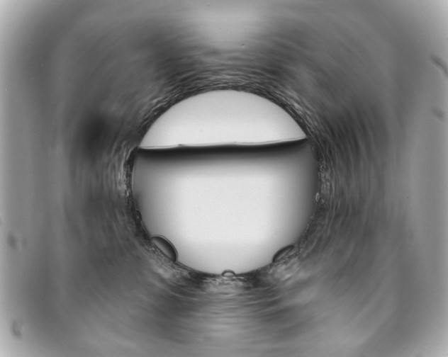 X0000094210331200710260938