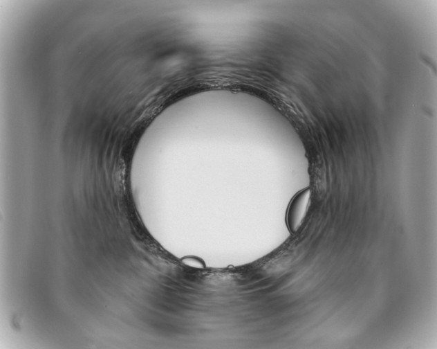X0000094210332200710260938
