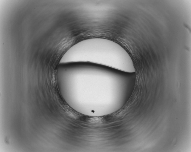X0000094210335200710260938