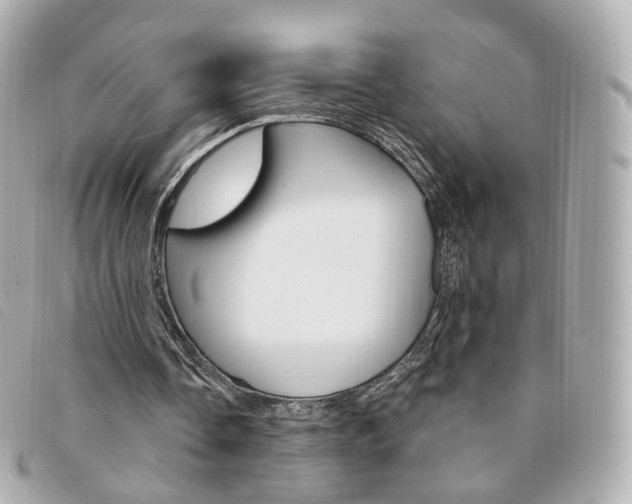 X0000094210338200710260938