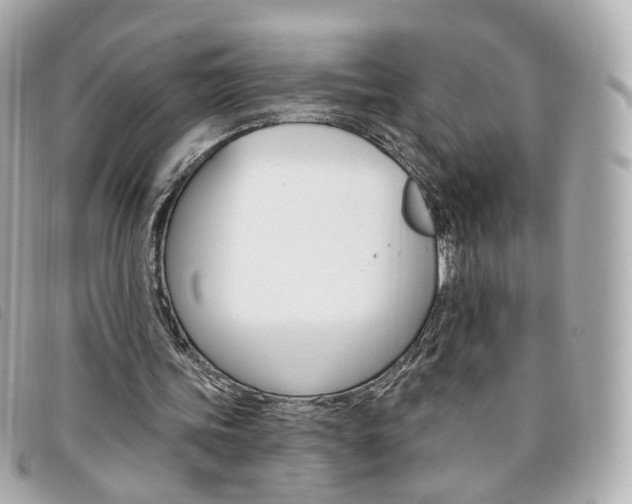 X0000094210339200710260938