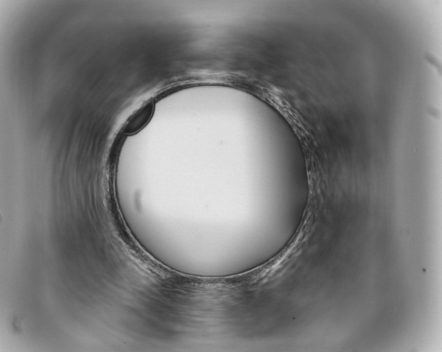 X0000094210342200710260938