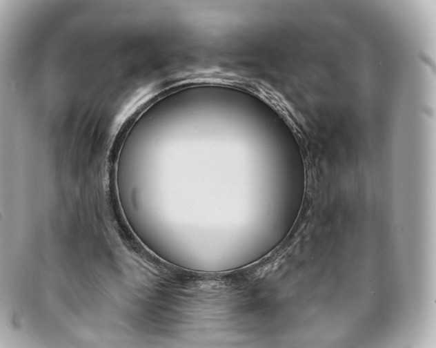 X0000094210344200710260938
