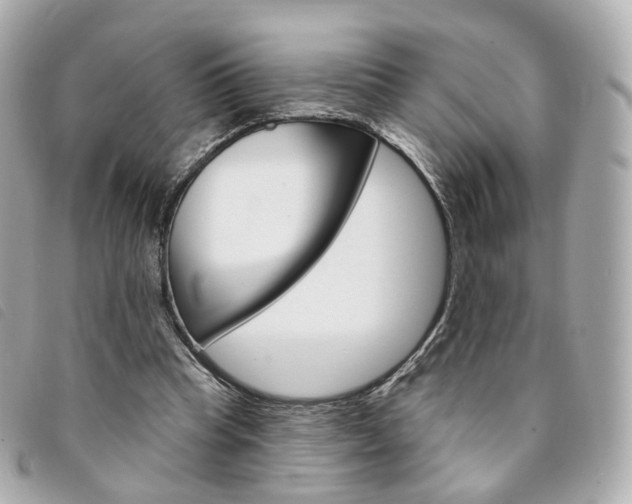 X0000094210345200710260938