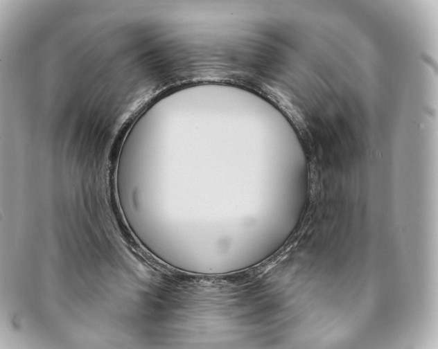 X0000094210346200710260938
