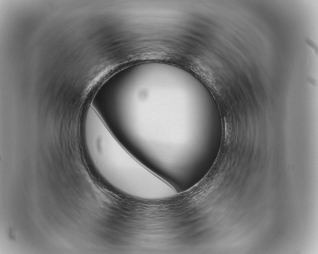 X0000094210348200710260938