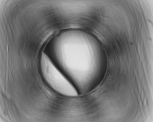 X0000094210350200710260938