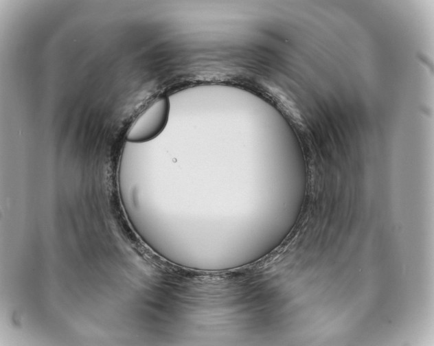 X0000094210354200710260938
