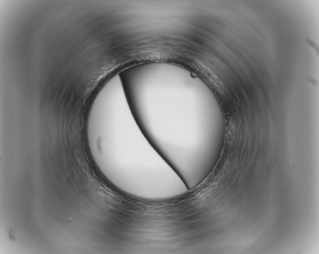 X0000094210355200710260938