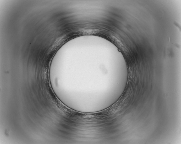 X0000094210357200710260938