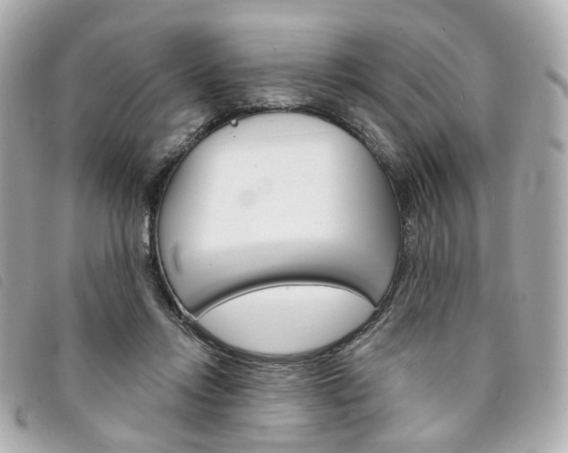 X0000094210358200710260938