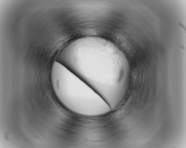 X0000094210359200710260938