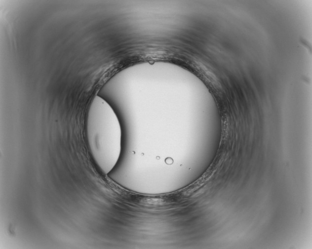 X0000094210361200710260938