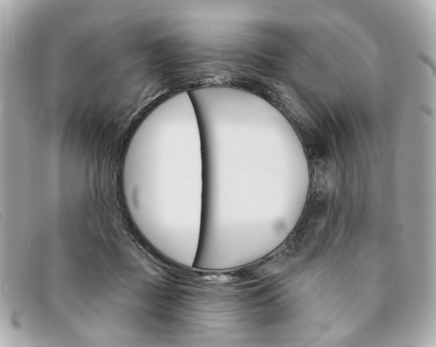 X0000094210363200710260938