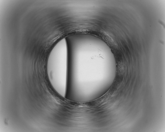 X0000094210364200710260938