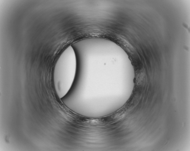 X0000094210365200710260938