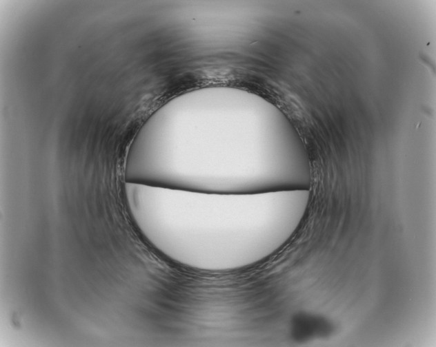 X0000094210369200710260938