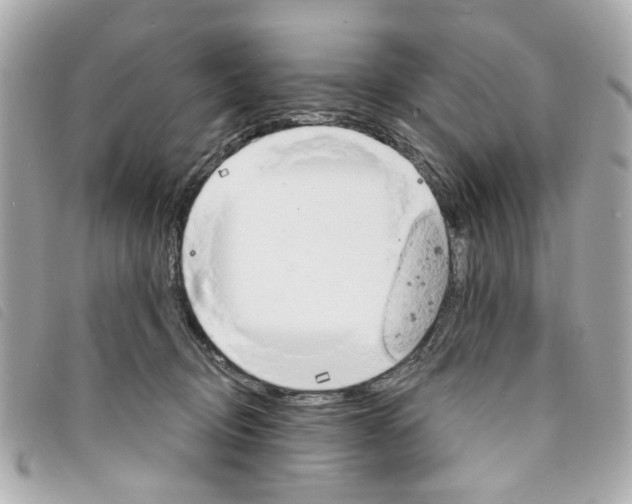 X0000094210370200710260938